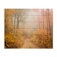 thumbnail image 1 of Patrick Zephyr 'Passing Through The Path' Wood Slat Art 18x22, 1 of 5