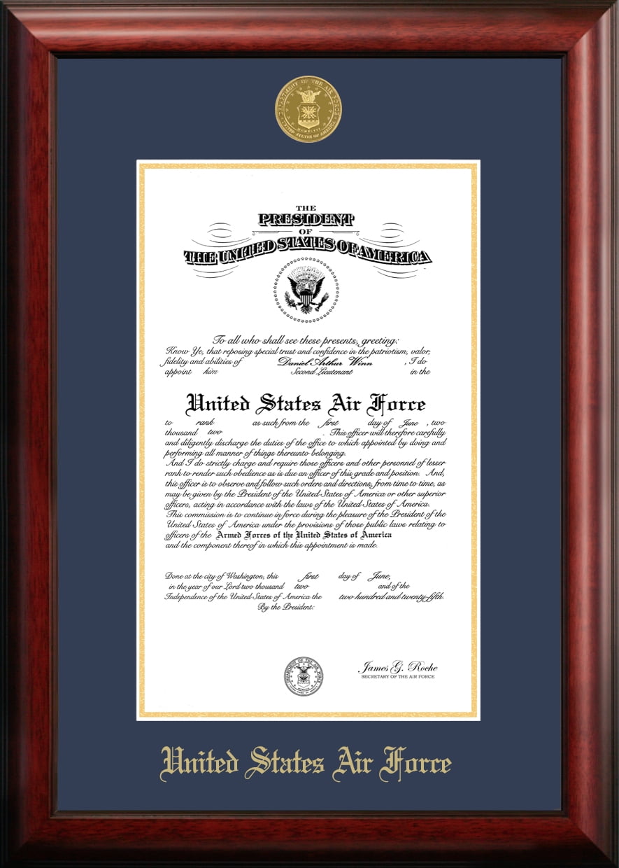 Patriot Frame's Air Force 9x14 Certificate Frame Gold Medallion