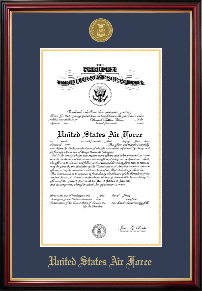 Patriot Frame's Air Force 9x14 Certificate Petite Frame with Gold Medallion
