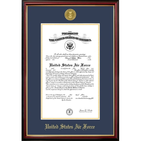 Patriot Frame's Air Force 9x14 Certificate Petite Frame with Gold Medallion