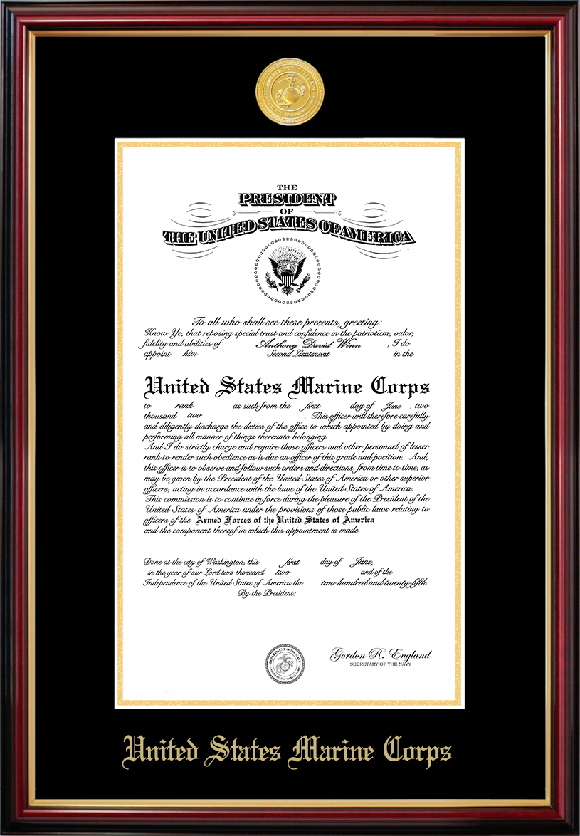 Patriot Frame's Marine 9x14 Certificate Petite Frame with Gold Medallion
