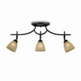 thumbnail image 1 of Patriot Lighting Somerville 3-Light Bronze Track Lighting Set, 1 of 1