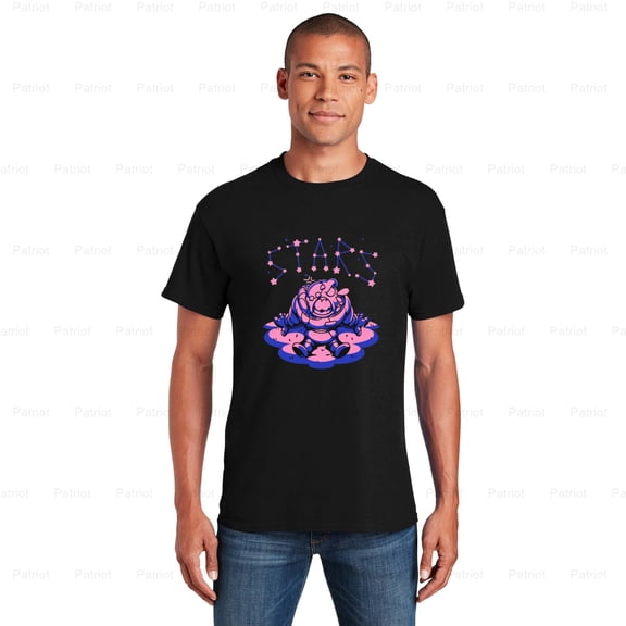 Patriot105 Stars Watcher Gaming Tee, Observing the Cosmos and its Mysteries, SW, Hoodie, for Unisex, up to size 5XL.