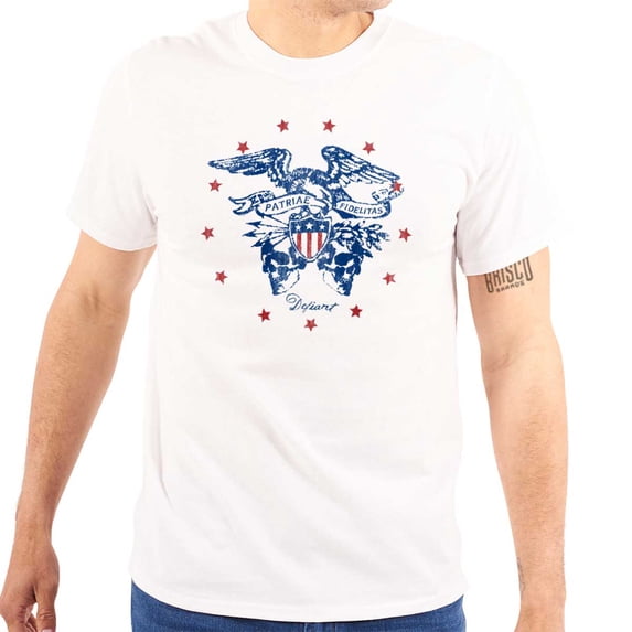 Patriotic Bald Eagle American Flag Plus Size Crewneck Graphic Tee Shirt Brisco Brands 3X