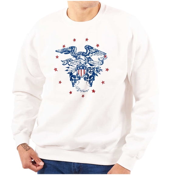 Patriotic Bald Eagle American Flag Unisex Plus Fleece Graphic Sweatshirt Brisco Brands 3X