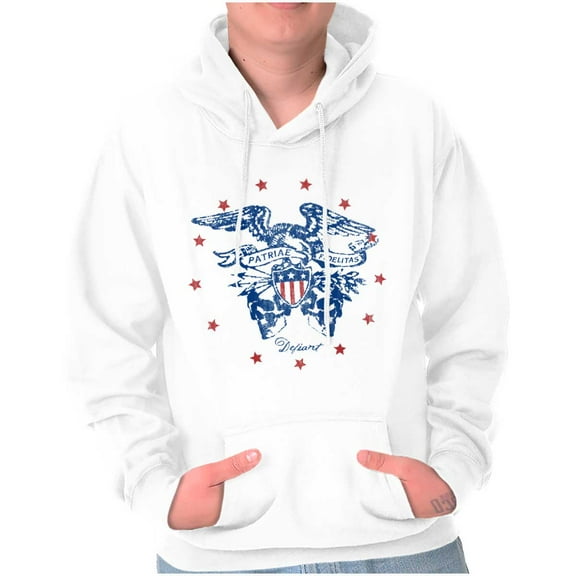 Patriotic Bald Eagle American Flag Unisex Plus Fleece Graphic Hoodie Brisco Brands 3X