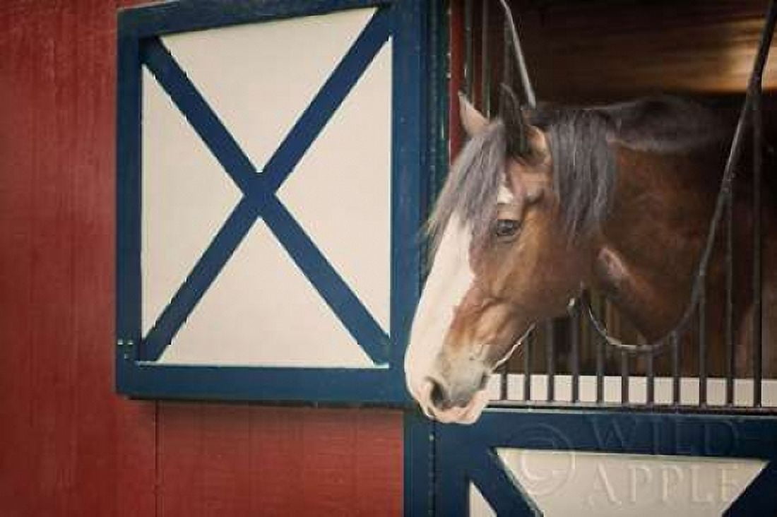 Patriotic Pony I Canvas Art - Elizabeth Urquhart (12 x 18)