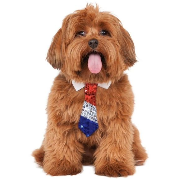 Patriotic Tie Pet Halloween Costume