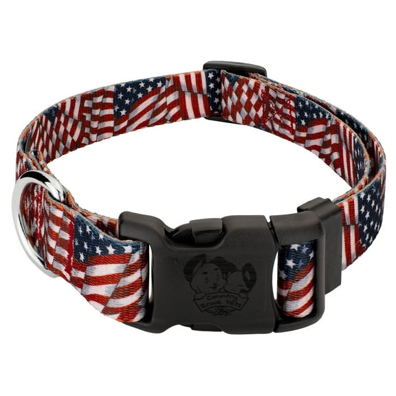 Country Brook Petz® Patriotic Tribute Everyday Dog Collar - Made In The U.S.A., Medium