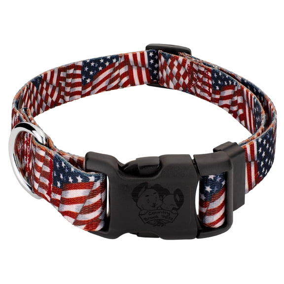 Country Brook Petz® Patriotic Tribute Everyday Dog Collar - Made In The U.S.A., Medium