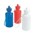 thumbnail image 1 of Patriotic Water Bottle - Party Supplies - 12 Pieces, 1 of 2