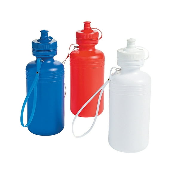 Patriotic Water Bottles Bulk 60 Ct