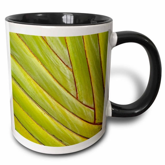 3drose, Pattern in Leaf Stems of Travelers Palm Tree, Fort Myers, Florida, Usa, 15oz Two-tone Black Mug