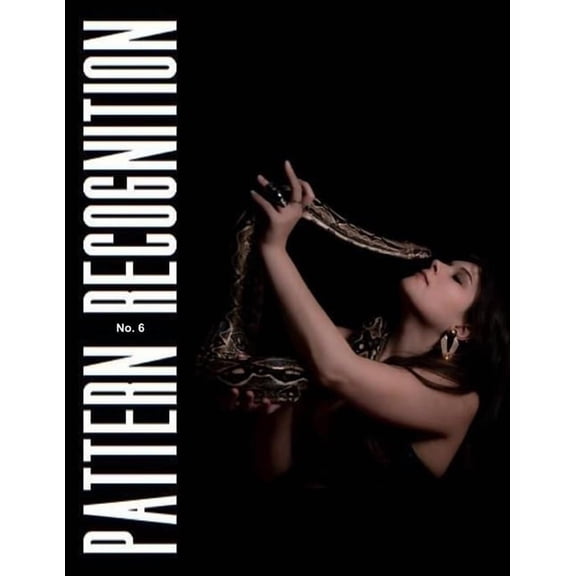 Pattern Recognition No. 6, (Paperback)