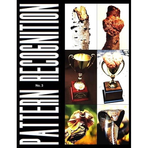 Pattern Recognition No. 3 Paperback 1726131335 9781726131339 Pattern Recognition