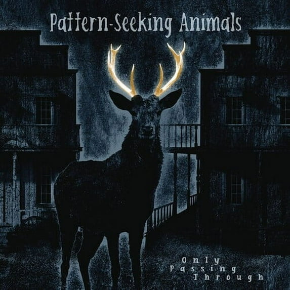 Pattern-Seeking Animals - Only Passing Through - Music & Performance - CD