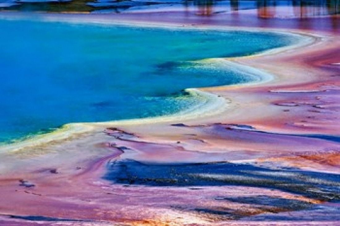 Pattern in Bacterial Mat Midway Geyser Basin Yellowstone National Park Wyoming Canvas Art - Adam Jones DanitaDelimont (36 x 24)