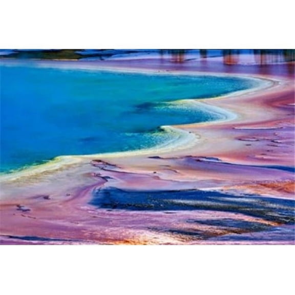 Pattern in Bacterial Mat Midway Geyser Basin Yellowstone National Park Wyoming Poster Print by Adam Jones
