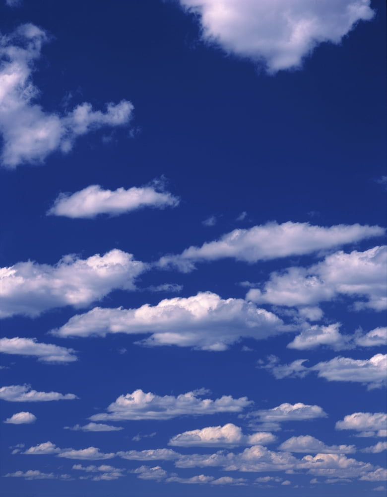Pattern of Cumulus clouds Canvas Art - Panoramic Images (12 x 36)