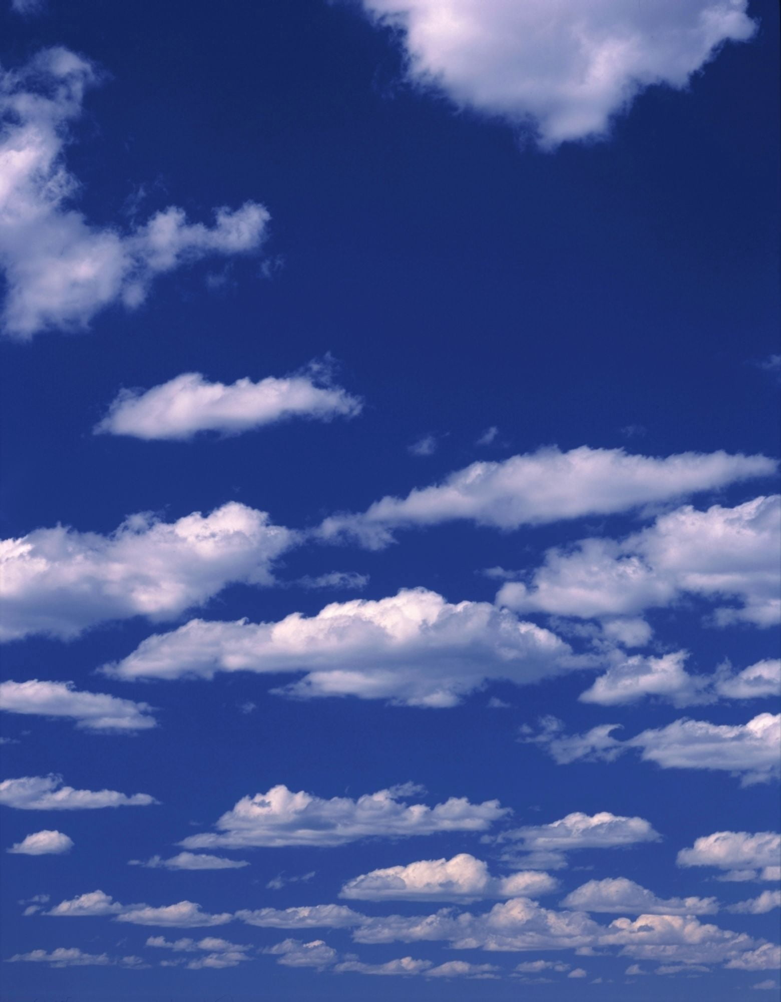 Pattern of Cumulus clouds Canvas Art - Panoramic Images (9 x 27)