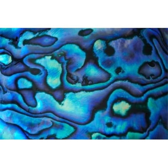 Pattern of Paua Shell New Zealand Poster Print by David Wall - 35 x 24 in.