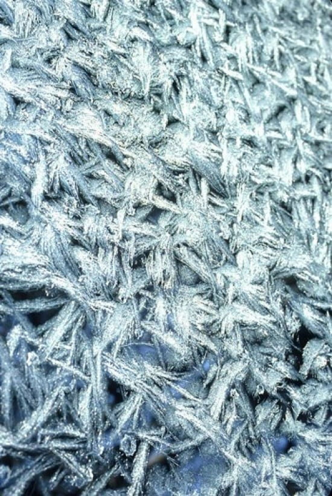 Pattern of Winter Frost on Glass Canvas Art - Mark Gibson DanitaDelimont (12 x 17)