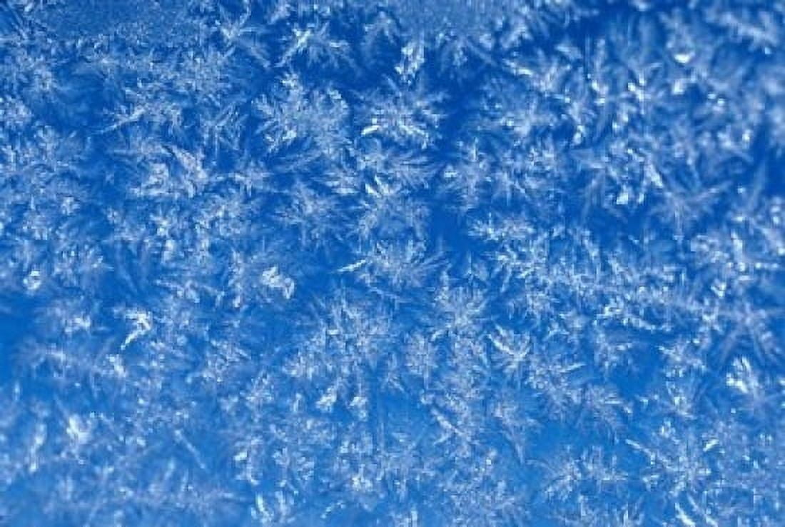 Pattern of Winter Frost on Glass Canvas Art - Mark Gibson DanitaDelimont (18 x 12)