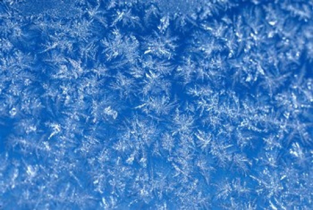Pattern of Winter Frost on Glass Canvas Art - Mark Gibson DanitaDelimont (36 x 24)