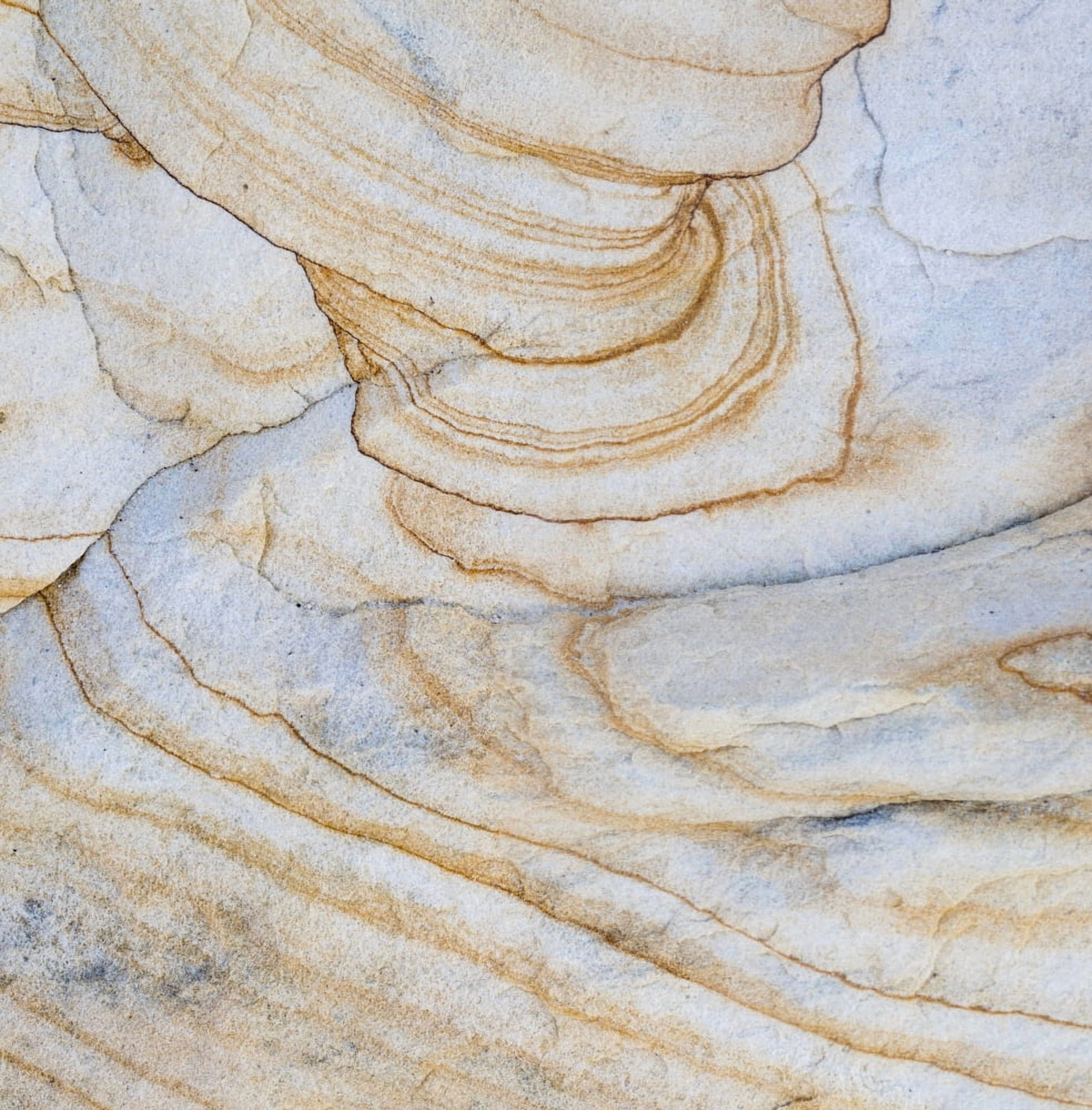 Pattern of layers on sandstone rock Grand Staircase-Escalante National Monument Utah USA Canvas Art - Panoramic Images (24 x 24)