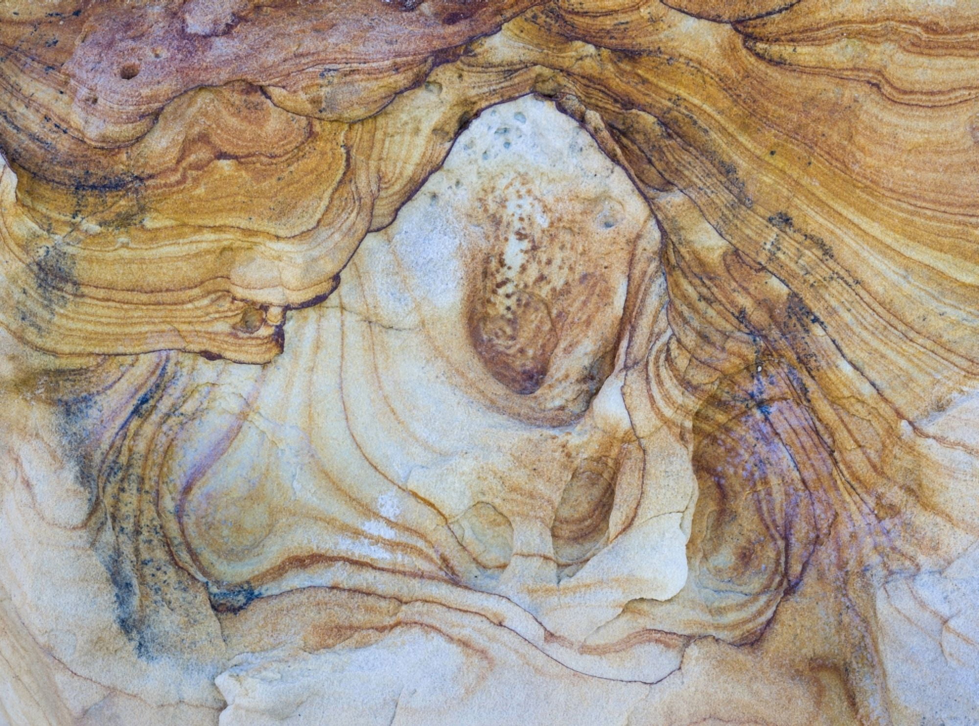 Pattern of layers on sandstone rock Grand Staircase-Escalante National Monument Utah USA Canvas Art - Panoramic Images (27 x 9)