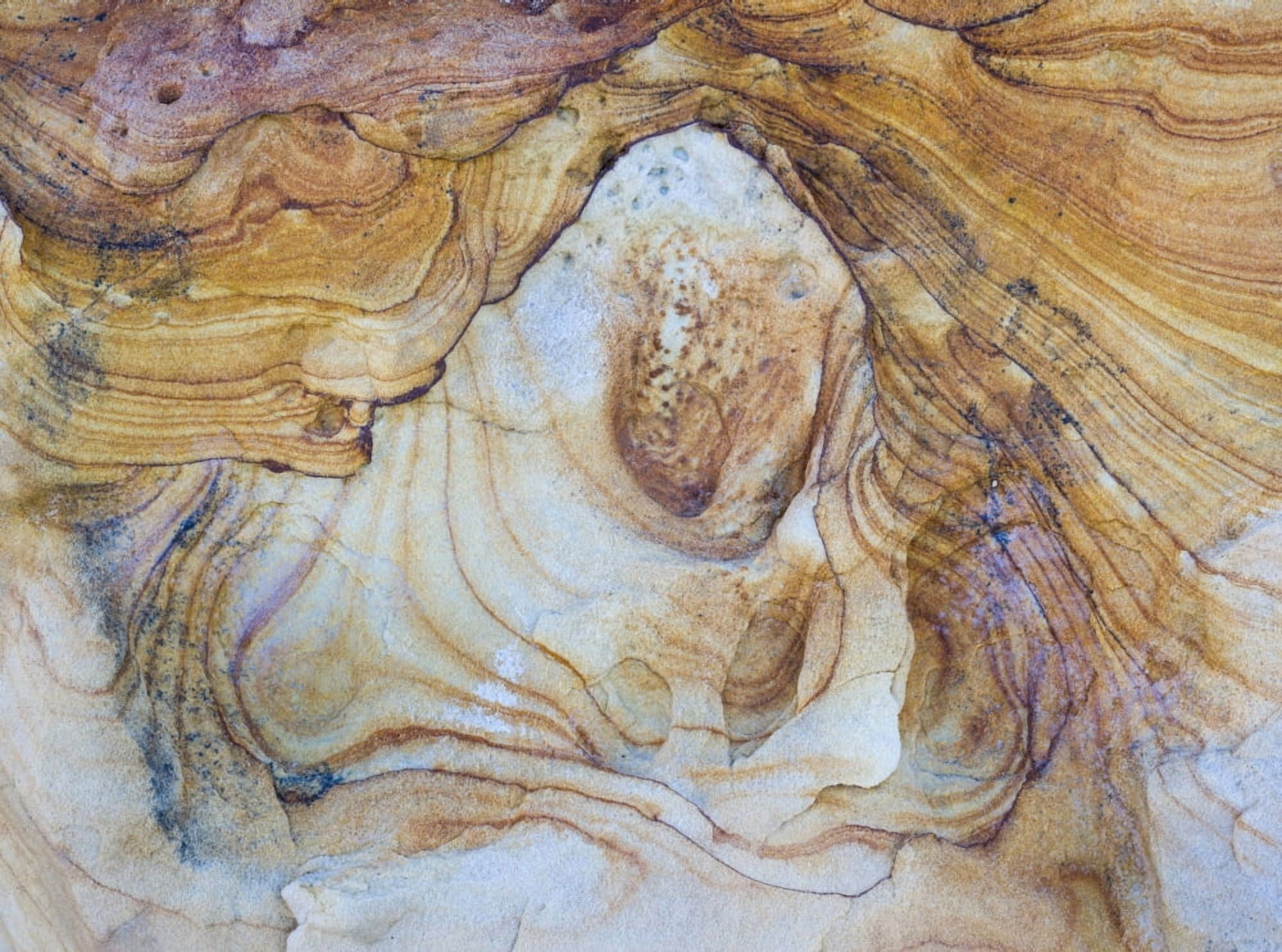 Pattern of layers on sandstone rock Grand Staircase-Escalante National Monument Utah USA Canvas Art - Panoramic Images (36 x 12)