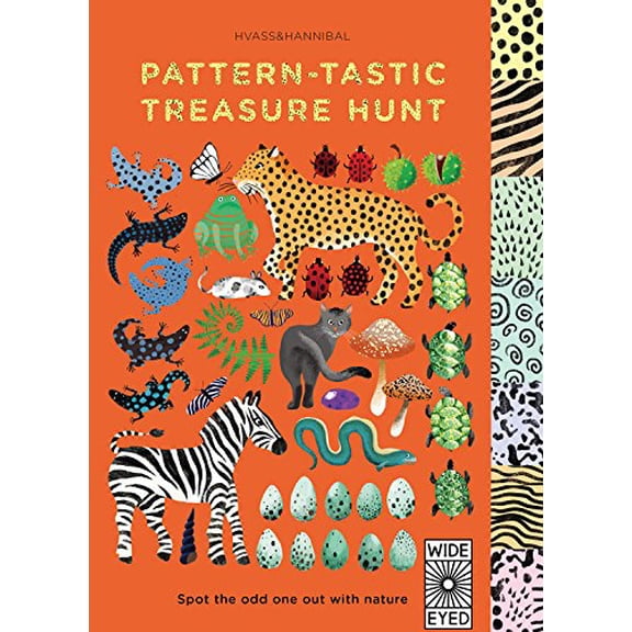 Pre-Owned Pattern-Tastic Treasure Hunt: Spot the Odd One Out with Nature (Unknown) 1847807798 9781847807793