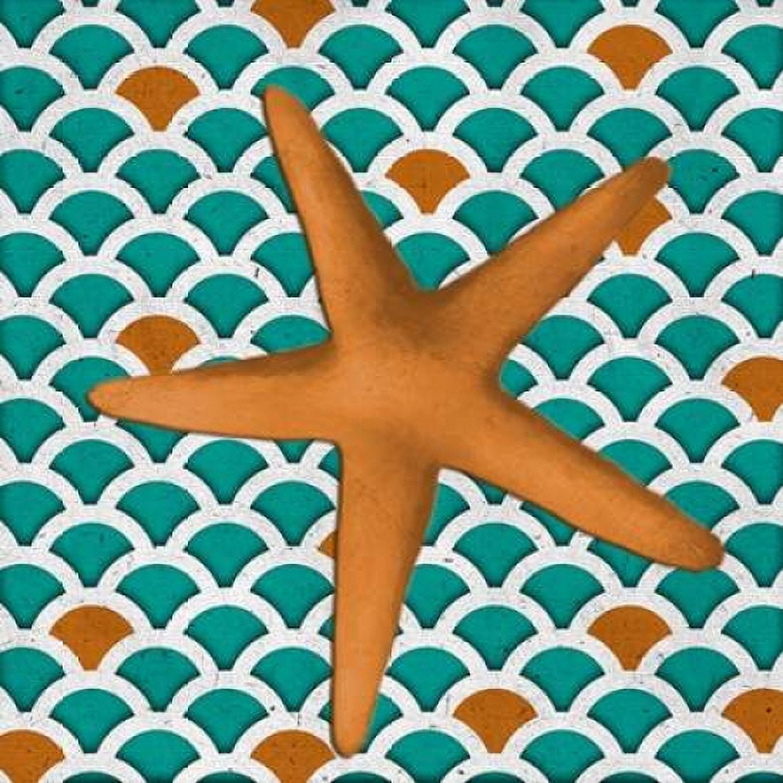 Patterned Shell II Canvas Art - Elizabeth Medley (24 x 24)