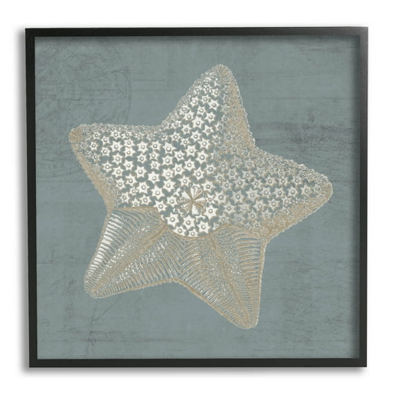Patterned Starfish Aquatic Sea Life Animals & Insects Graphic Art Black Framed Art Print Wall Art