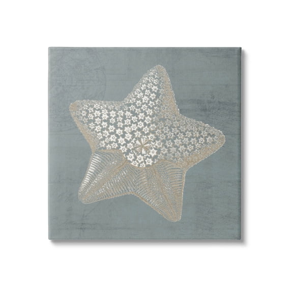 Patterned Starfish Aquatic Sea Life Animals & Insects Graphic Art Gallery Wrapped Canvas Print Wall Art