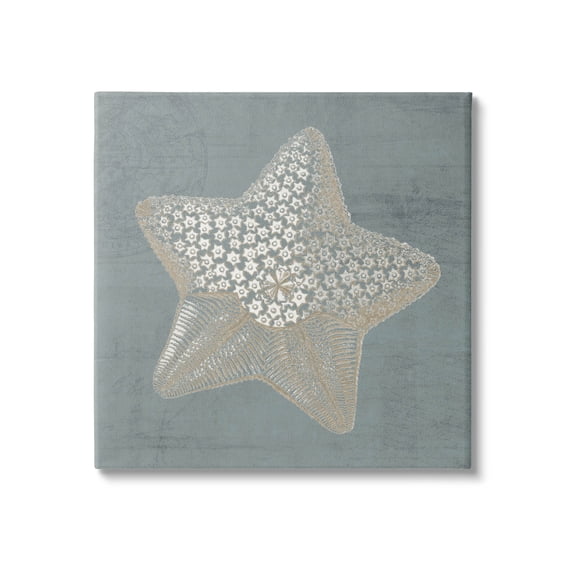 Patterned Starfish Aquatic Sea Life Animals & Insects Graphic Art Gallery Wrapped Canvas Print Wall Art