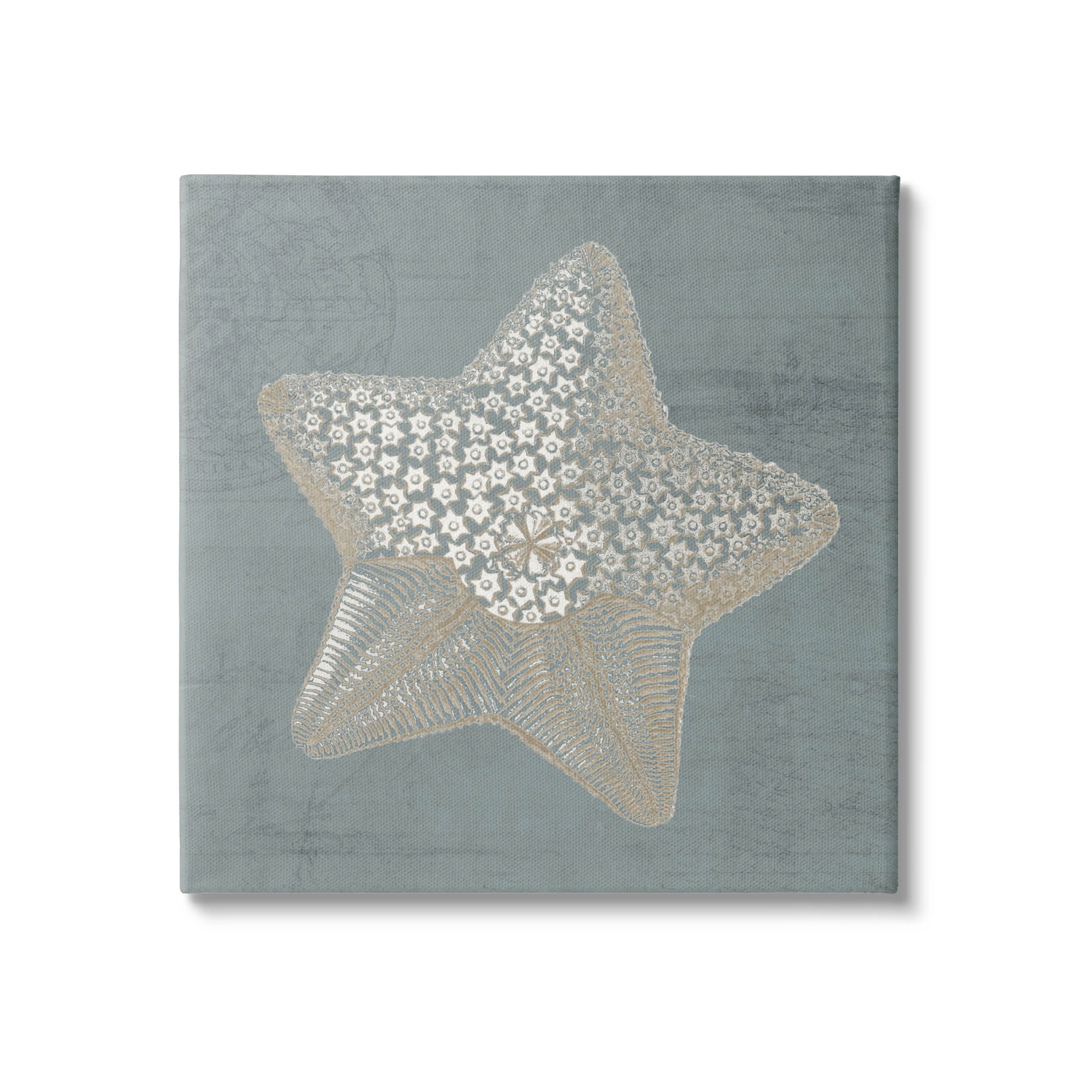 Patterned Starfish Aquatic Sea Life Animals & Insects Graphic Art Gallery Wrapped Canvas Print Wall Art