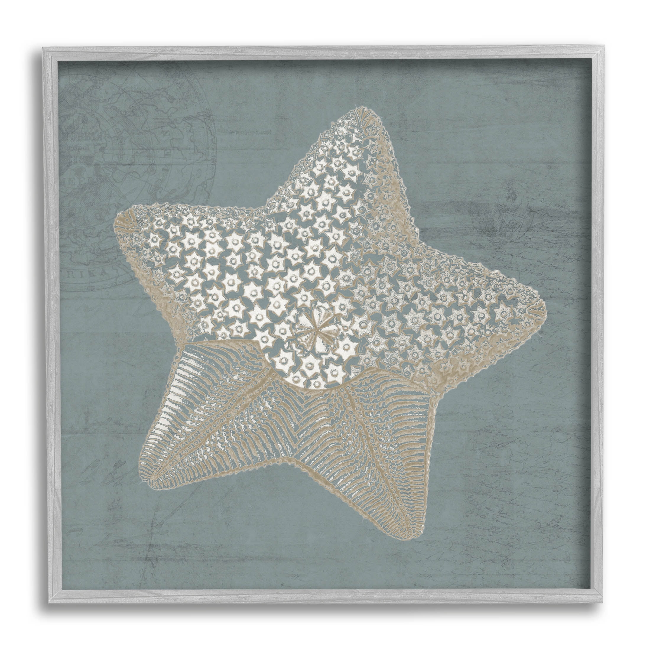 Patterned Starfish Aquatic Sea Life Animals & Insects Graphic Art Gray Framed Art Print Wall Art