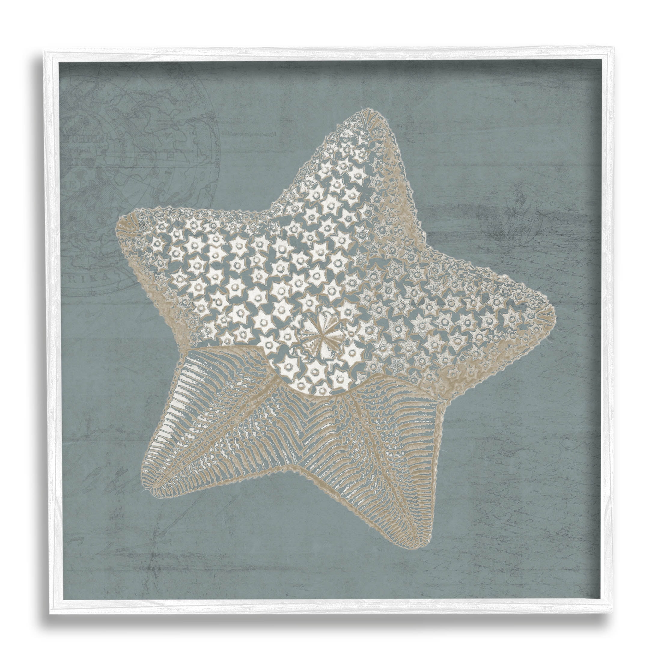 Patterned Starfish Aquatic Sea Life Animals & Insects Graphic Art White Framed Art Print Wall Art