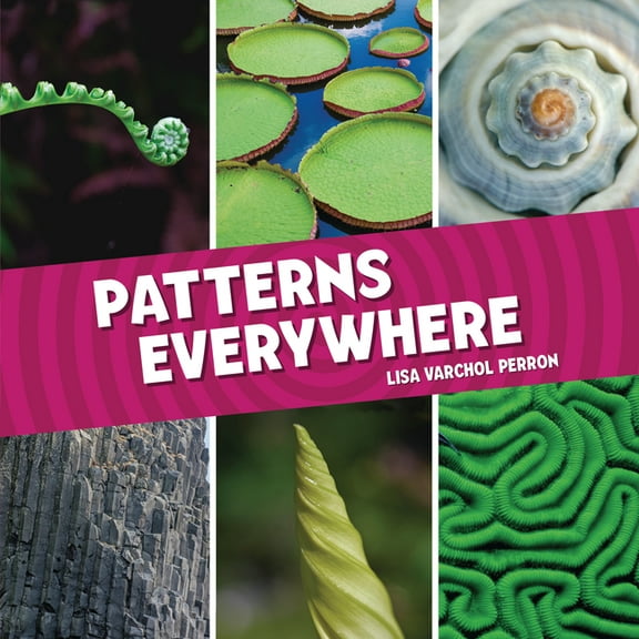 Patterns Everywhere, (Hardcover)