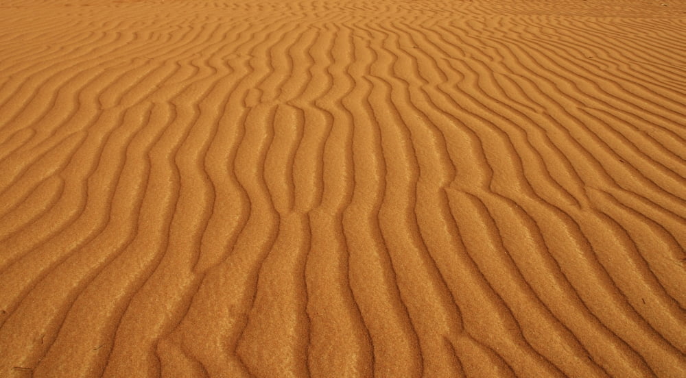 Patterns In The Desert Sand Sultanate Of Oman Canvas Art - Christine Giles Design Pics (20 x 11)