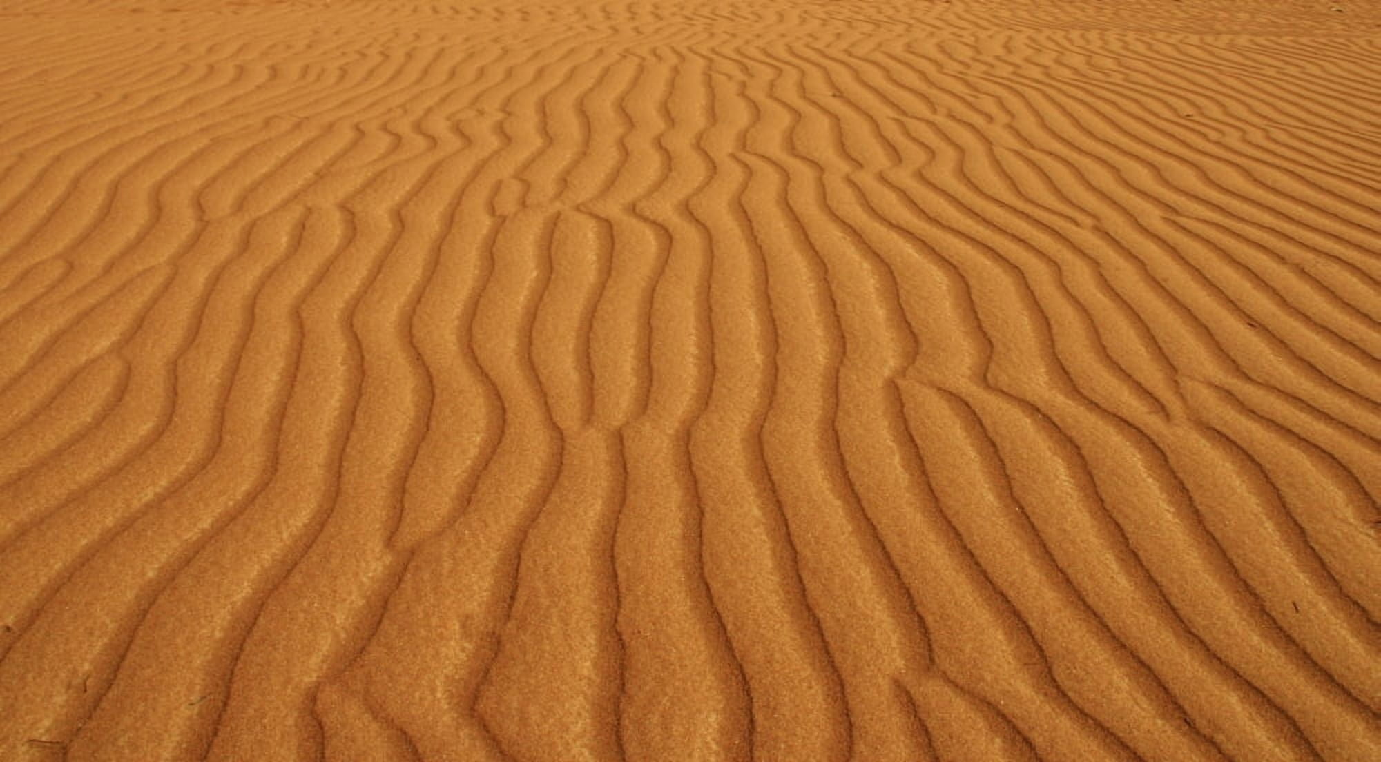 Patterns In The Desert Sand Sultanate Of Oman Canvas Art - Christine Giles  Design Pics (40 x 22)