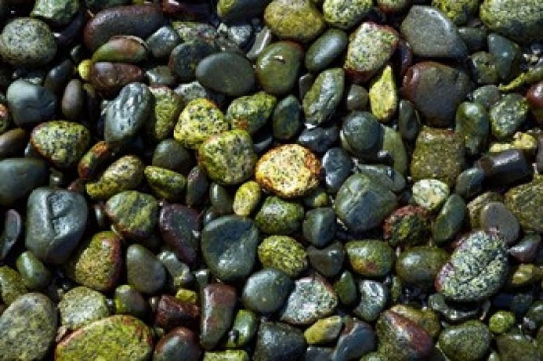 Patterns Rebecca Spit Quadra Isl British Columbia Canvas Art - Paul Colangelo DanitaDelimont (36 x 24)