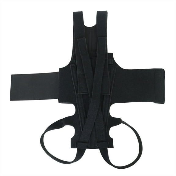 PatungKu Dog Back Support Ease Discomfort and Aid Healing Supporting Vest for Walking Supportive Dog Back Bracer No Pull Assist