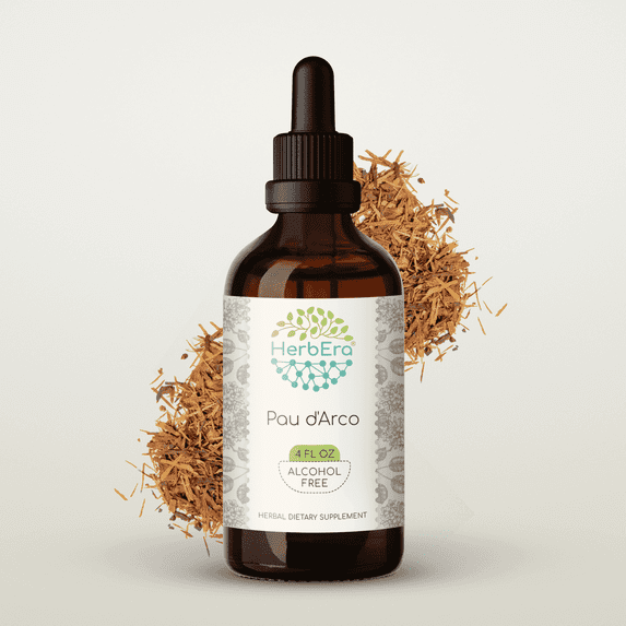 HerbEra Pau d'Arco Tincture, Herbal Dietary Supplement for Immune Support, Pau d'Arco (Tabebuia impetiginosa) Dried Bark Extract, Natural, Alcohol-Free, Drops 4 oz