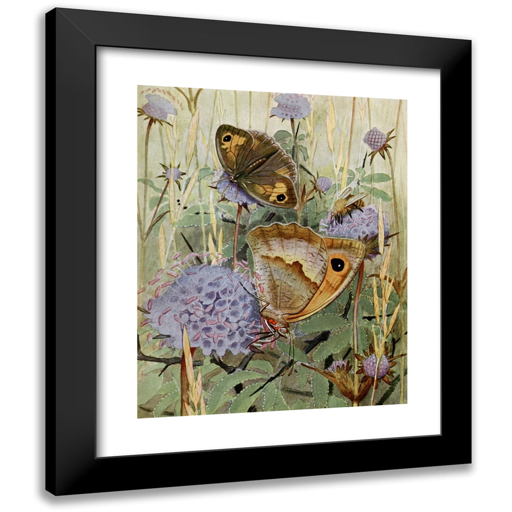Paul-Andre Robert 20x24 Black Modern Framed Museum Art Print Titled - Le Myrtil (1934)