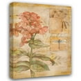 thumbnail image 1 of Paul Brent 19x24 Gallery Wrapped Canvas Wall Art Titled - Flora Dragonfly, 1 of 4