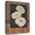 thumbnail image 1 of Paul Brent 28x40 Gallery Wrapped Canvas Wall Art Titled - Santorini Daisies, 1 of 4
