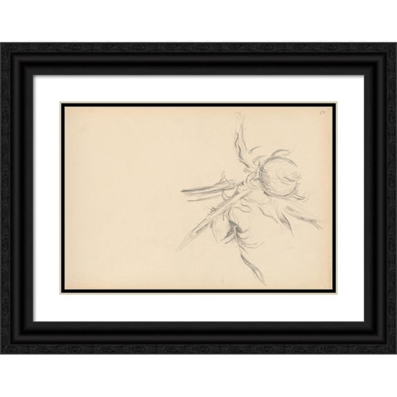 Paul Cézanne 18x14 Black Ornate Wood Framed Double Matted Museum Art Print Titled - Thistle (1893-1896)