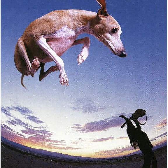 Paul Gilbert - Flying Dog - Heavy Metal - CD